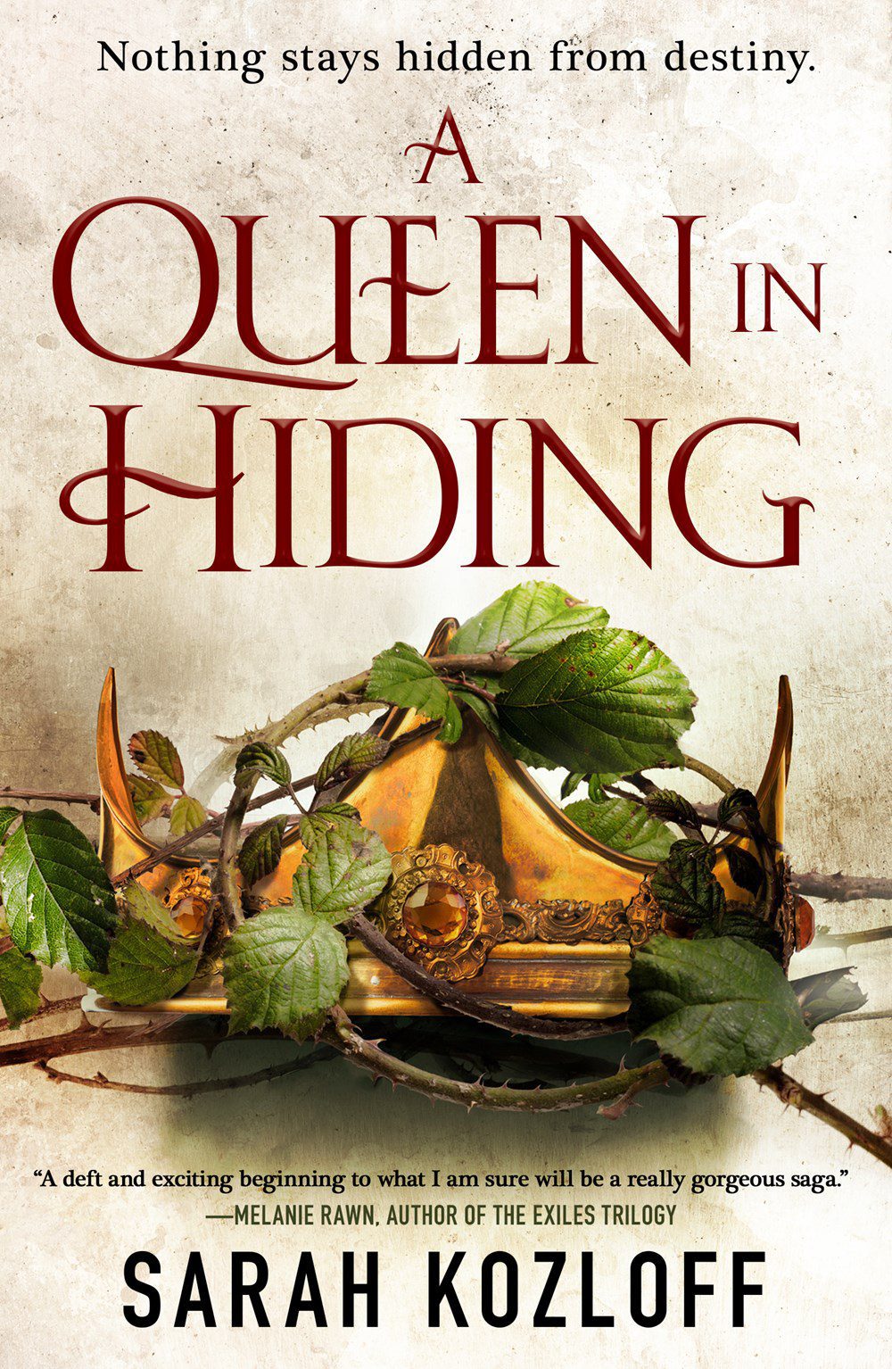 A Queen in Hiding (The Nine Realms, #1)