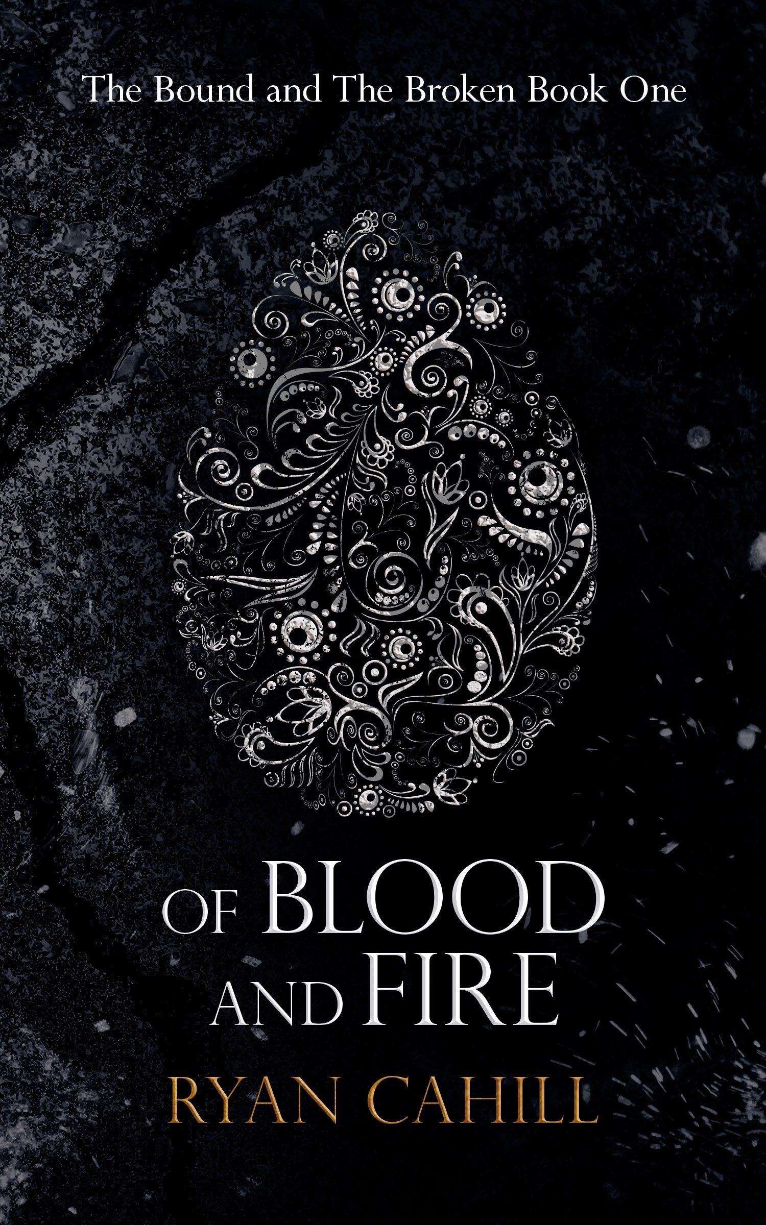 book review of blood and fire