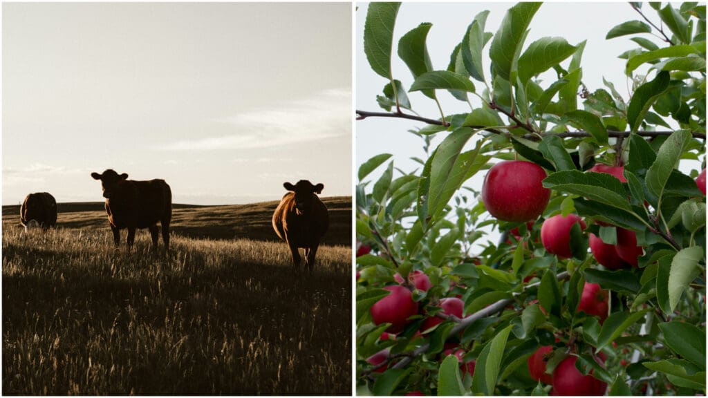 Photos of Canadian farms.