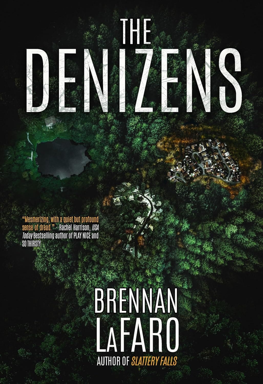 Cover art for The Denizens